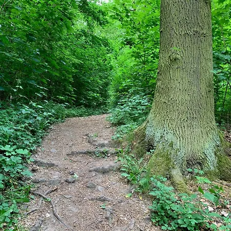 Sterntaler * Melsungen