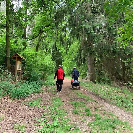 Sterntaler * Melsungen