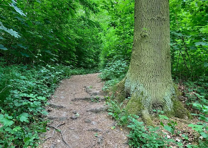 Sterntaler * Melsungen